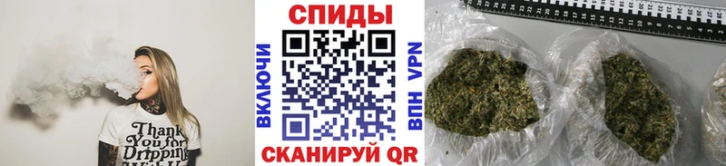 блэк спрут зеркало  Брюховецкая  Бутират Butirat 