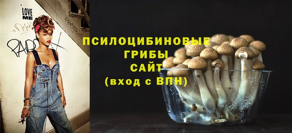 хмурый Абаза