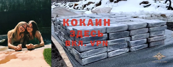 хмурый Абаза